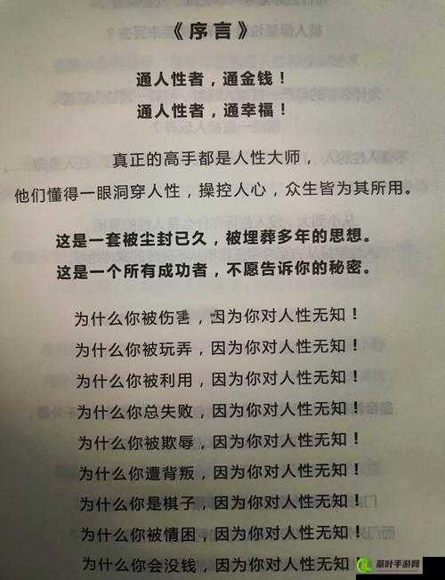 低等级玩家如何实现逆袭，揭秘与高等级大佬并肩作战的实战秘诀