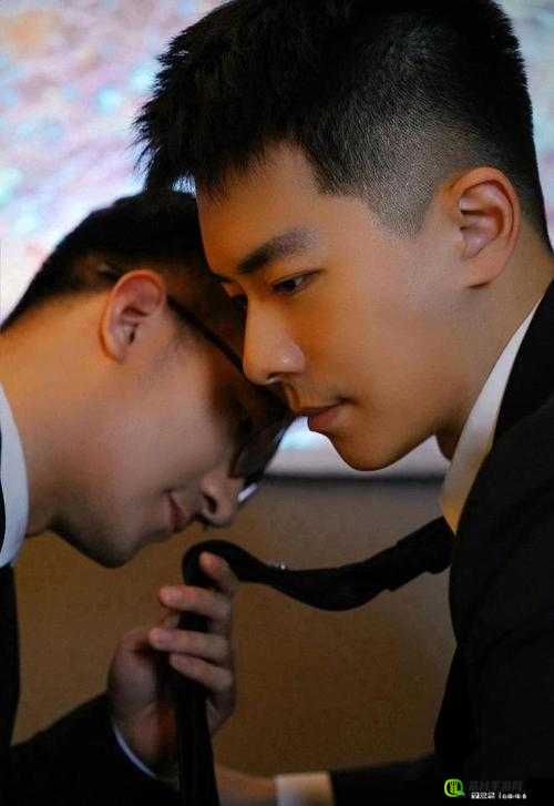 国产中文男男 gaygay app 引领独特社交新潮流