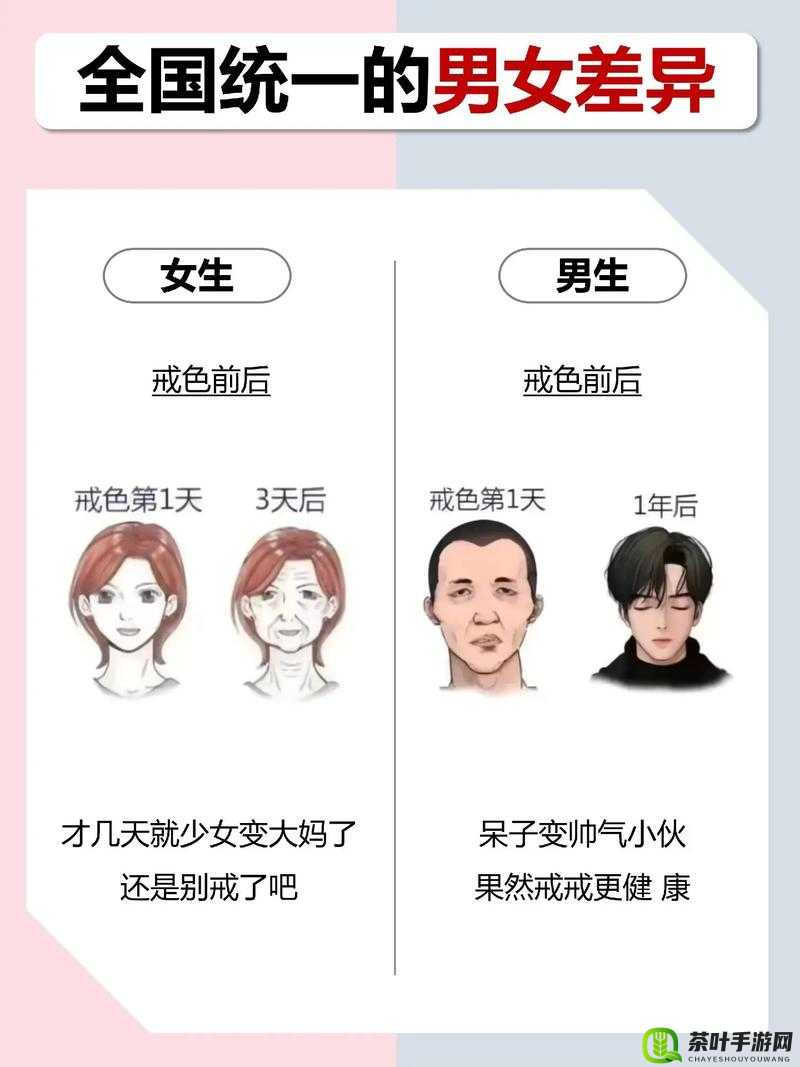 男人女人差差差：探究两性之间的差异与互补